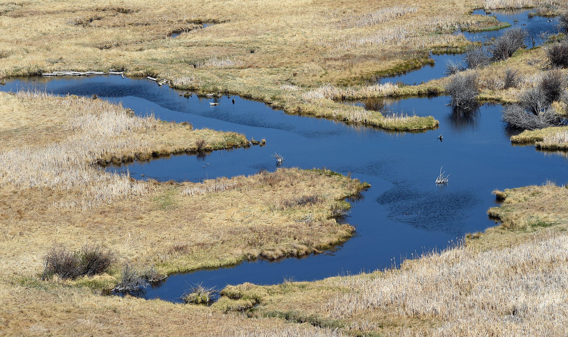 Waterfowl refuge